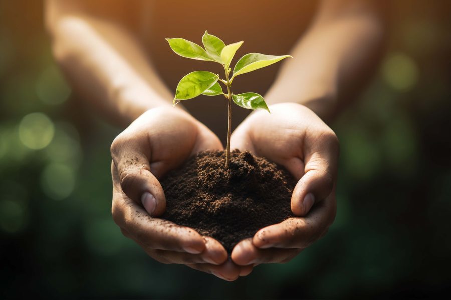 Certificación ISO 14001 en Colombia — sistema de gestión ambiental certificado por IAS